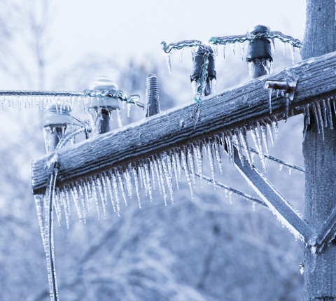 Frozen electrical pole