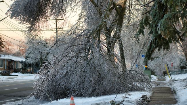 Ice Storm 2026.jpg